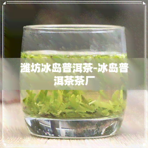 潍坊冰岛普洱茶-冰岛普洱茶茶厂