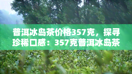 普洱冰岛茶价格357克，探寻珍稀口感：357克普洱冰岛茶的价格解析