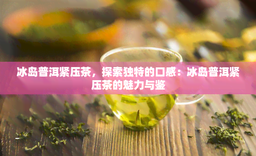 冰岛普洱紧压茶，探索独特的口感：冰岛普洱紧压茶的魅力与鉴