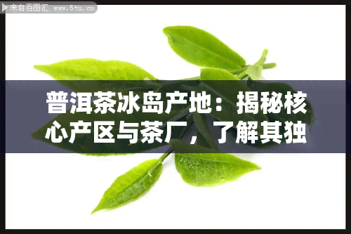 普洱茶冰岛产地：揭秘核心产区与茶厂，了解其独特卖点