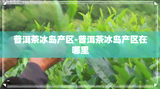 普洱茶冰岛产区-普洱茶冰岛产区在哪里