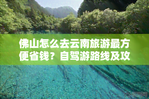 佛山怎么去云南旅游最方便省钱？自驾游路线及攻略