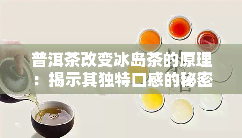 普洱茶改变冰岛茶的原理：揭示其独特口感的秘密