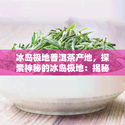 冰岛极地普洱茶产地，探索神秘的冰岛极地：揭秘普洱茶的产地与制作工艺