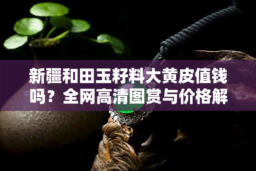 新疆和田玉籽料大黄皮值钱吗？全网高清图赏与价格解析