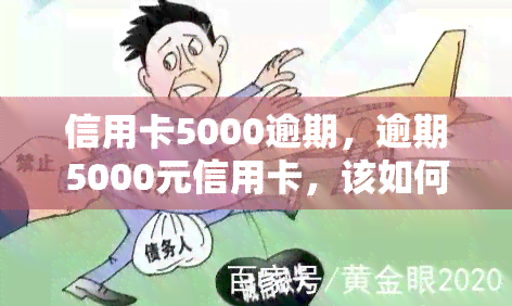 信用卡5000逾期，逾期5000元信用卡，该如何处理？