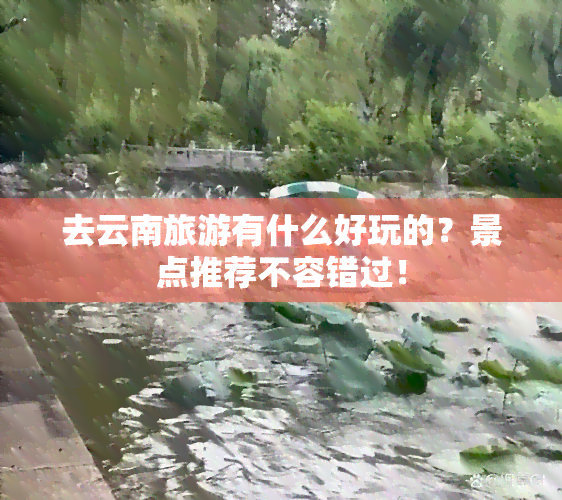 去云南旅游有什么好玩的？景点推荐不容错过！