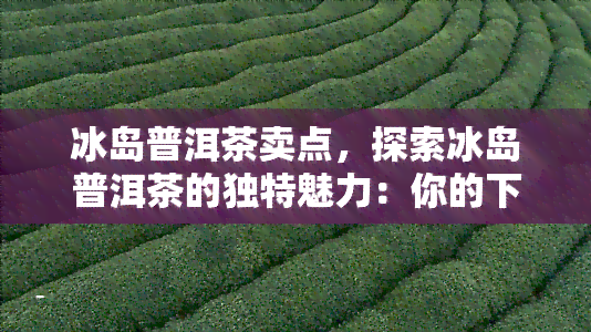 冰岛普洱茶卖点，探索冰岛普洱茶的独特魅力：你的下一杯茶可能就在这里！