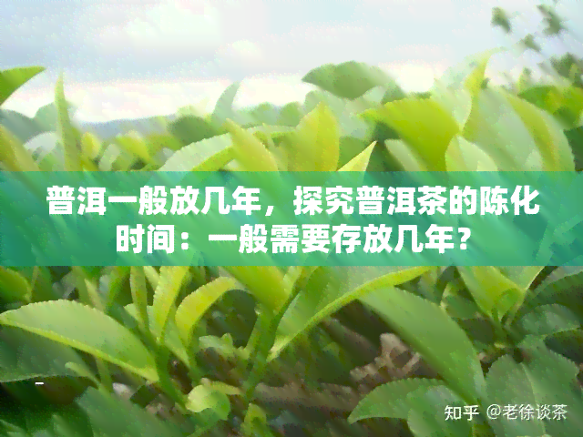 普洱一般放几年，探究普洱茶的陈化时间：一般需要存放几年？