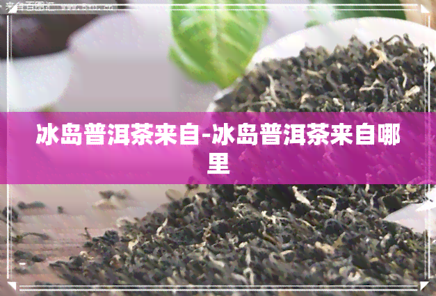 冰岛普洱茶来自-冰岛普洱茶来自哪里