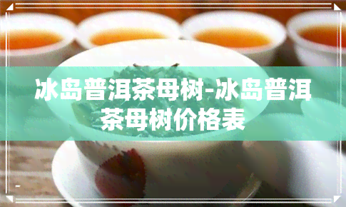 冰岛普洱茶母树-冰岛普洱茶母树价格表