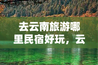 去云南旅游哪里民宿好玩，云南旅游攻略：揭秘热门民宿，带你玩转美丽的云之南！