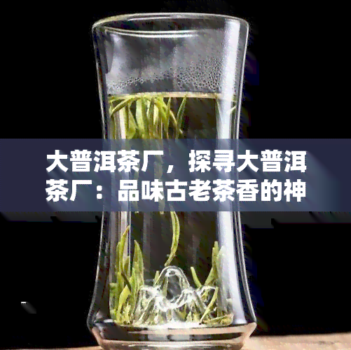 大普洱茶厂，探寻大普洱茶厂：品味古老茶香的神秘之旅