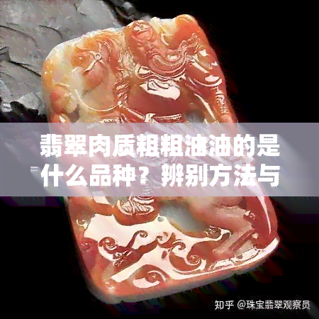 翡翠肉质粗粗油油的是什么品种？辨别方法与保养技巧