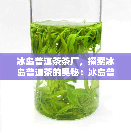 冰岛普洱茶茶厂，探索冰岛普洱茶的奥秘：冰岛普洱茶茶厂介绍