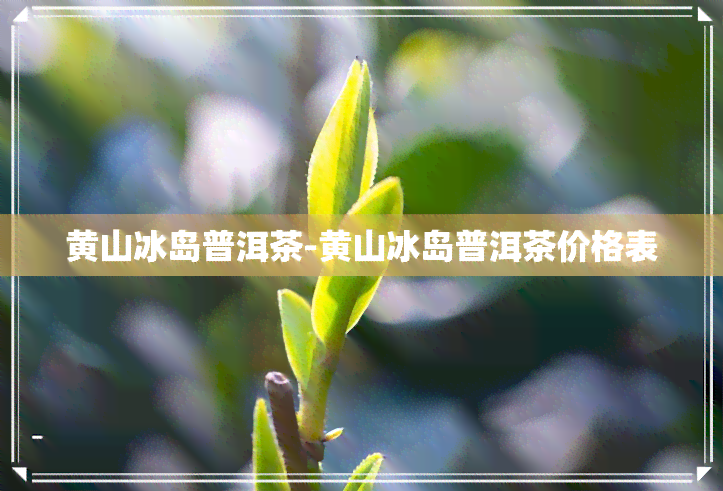 黄山冰岛普洱茶-黄山冰岛普洱茶价格表