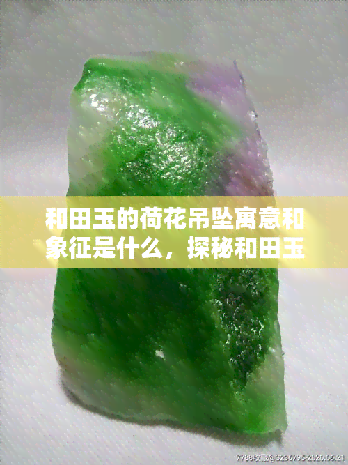 和田玉的荷花吊坠寓意和象征是什么，探秘和田玉荷花吊坠的寓意与象征