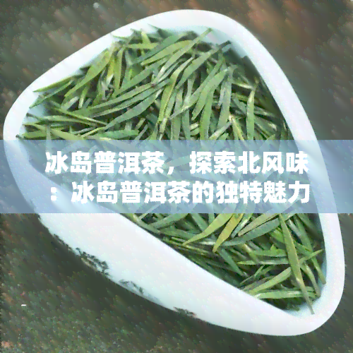 冰岛普洱茶，探索北风味：冰岛普洱茶的独特魅力