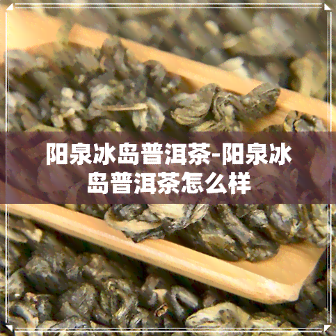 阳泉冰岛普洱茶-阳泉冰岛普洱茶怎么样