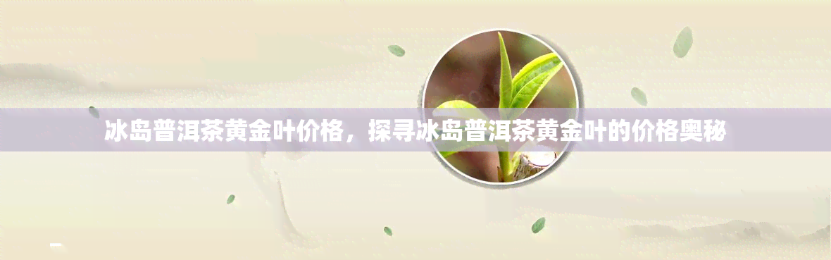 冰岛普洱茶黄金叶价格，探寻冰岛普洱茶黄金叶的价格奥秘