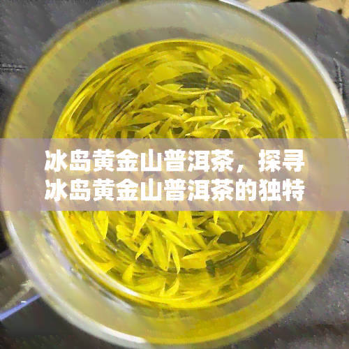 冰岛黄金山普洱茶，探寻冰岛黄金山普洱茶的独特魅力与风味