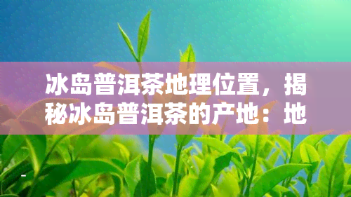 冰岛普洱茶地理位置，揭秘冰岛普洱茶的产地：地理位置与独特品质