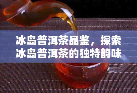 冰岛普洱茶品鉴，探索冰岛普洱茶的独特韵味：一次难忘的品鉴体验