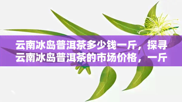 云南冰岛普洱茶多少钱一斤，探寻云南冰岛普洱茶的市场价格，一斤要多少钱？