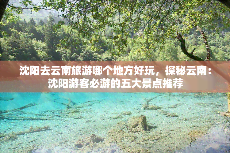 沈阳去云南旅游哪个地方好玩，探秘云南：沈阳游客必游的五大景点推荐