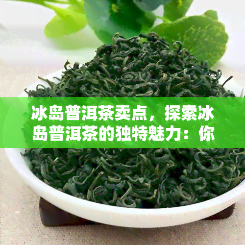 冰岛普洱茶卖点，探索冰岛普洱茶的独特魅力：你的下一个茶叶选择？