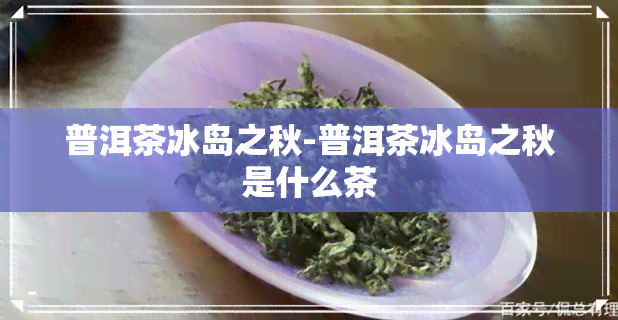 普洱茶冰岛之秋-普洱茶冰岛之秋是什么茶