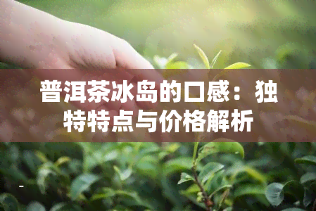 普洱茶冰岛的口感：独特特点与价格解析