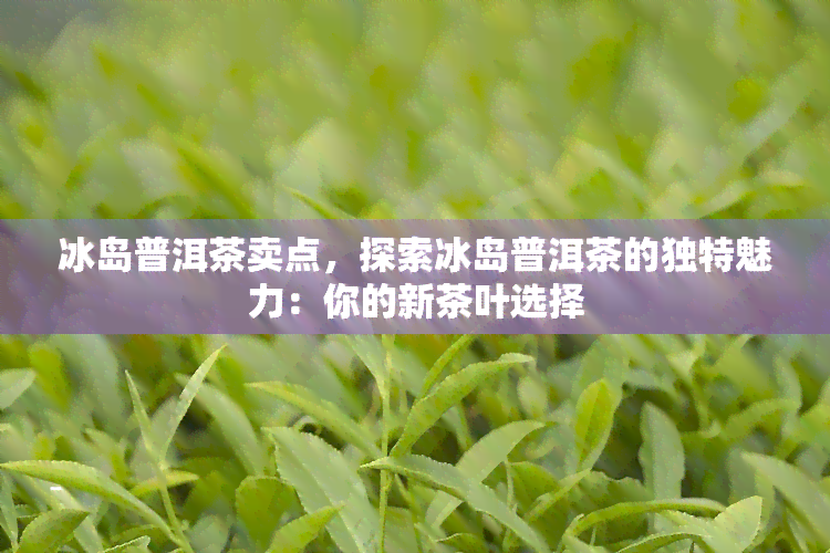 冰岛普洱茶卖点，探索冰岛普洱茶的独特魅力：你的新茶叶选择