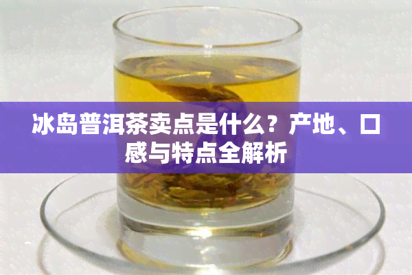 冰岛普洱茶卖点是什么？产地、口感与特点全解析