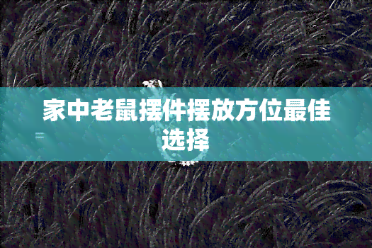 家中老鼠摆件摆放方位更佳选择