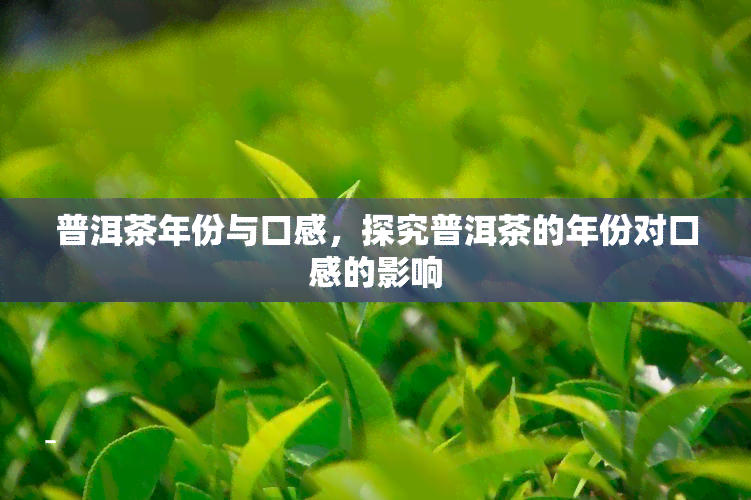 普洱茶年份与口感，探究普洱茶的年份对口感的影响