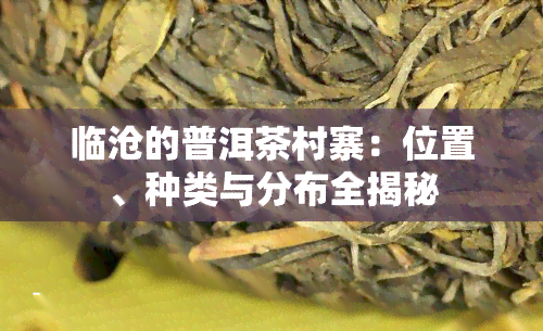 临沧的普洱茶村寨：位置、种类与分布全揭秘