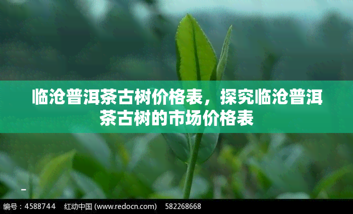 临沧普洱茶古树价格表，探究临沧普洱茶古树的市场价格表