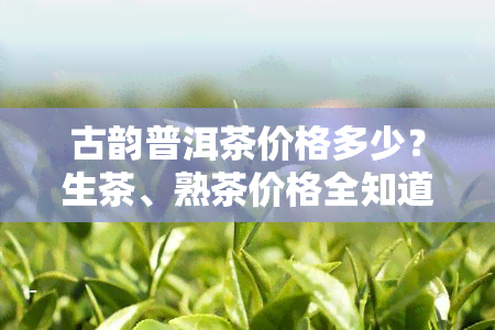 古韵普洱茶价格多少？生茶、熟茶价格全知道！