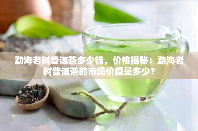 勐海老树普洱茶多少钱，价格揭秘：勐海老树普洱茶的市场价值是多少？