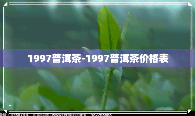 1997普洱茶-1997普洱茶价格表