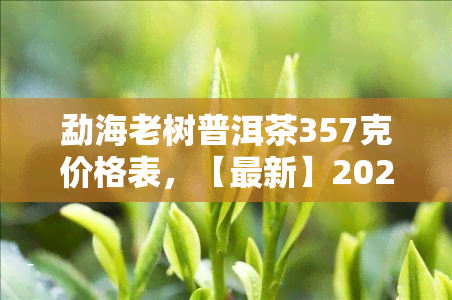 勐海老树普洱茶357克价格表，【最新】2022年勐海老树普洱茶357克价格表，哪个更值得买？