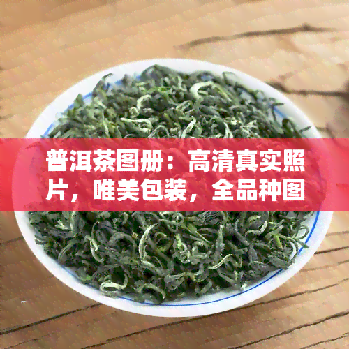 普洱茶图册：高     实照片，唯美包装，全品种图鉴