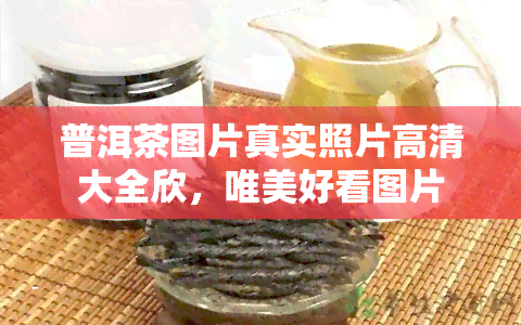 普洱茶图片真实照片高清大全欣，唯美好看图片