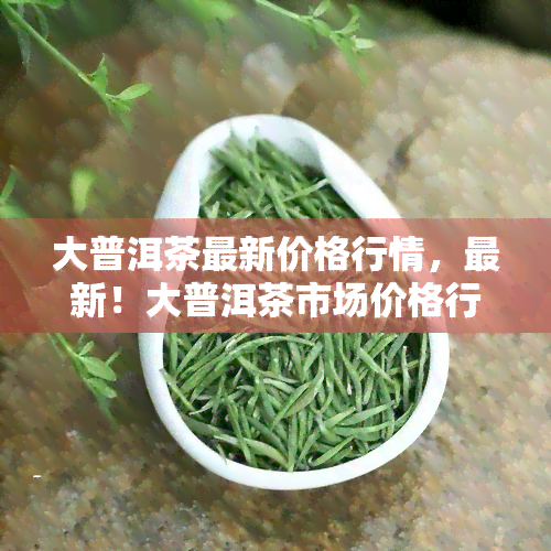 大普洱茶最新价格行情，最新！大普洱茶市场价格行情全解析