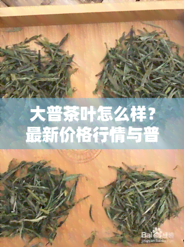 大普茶叶怎么样？最新价格行情与普洱沱茶口感分享