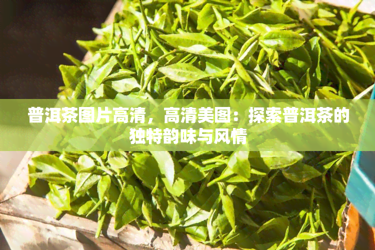 普洱茶图片高清，高清美图：探索普洱茶的独特韵味与风情