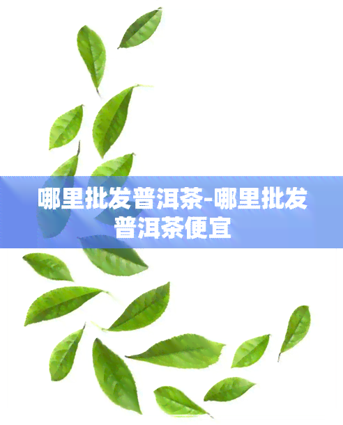 哪里批发普洱茶-哪里批发普洱茶便宜