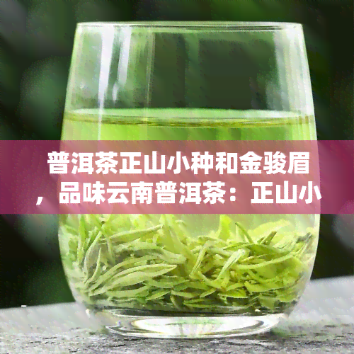 普洱茶正山小种和金骏眉，品味云南普洱茶：正山小种与金骏眉的香气之旅