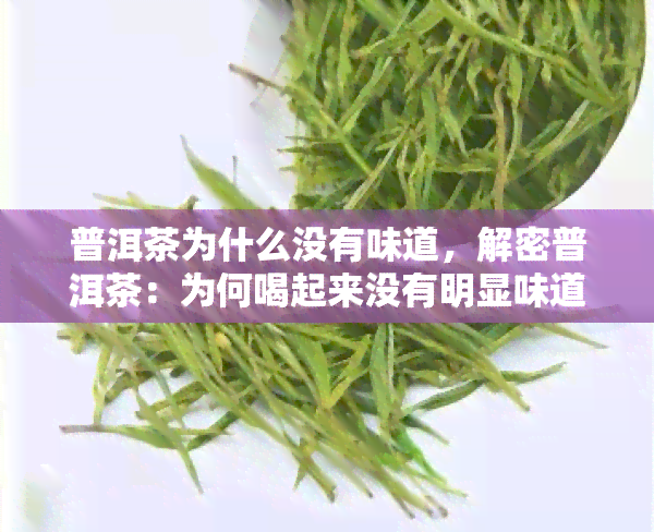 普洱茶为什么没有味道，解密普洱茶：为何喝起来没有明显味道？